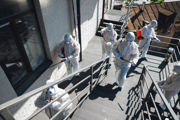 Best Mold Prevention Services  in Ramsey, MN