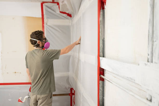 Best Commercial Mold Inspection  in Ramsey, MN