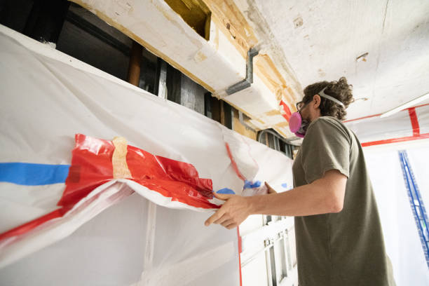 Best Crawl Space Mold Remediation  in Ramsey, MN