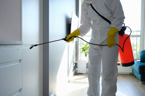 Best Post-Construction Mold Inspection  in Ramsey, MN