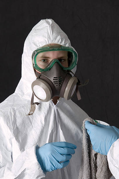 Reliable Ramsey, MN Mold Removal Solutions
